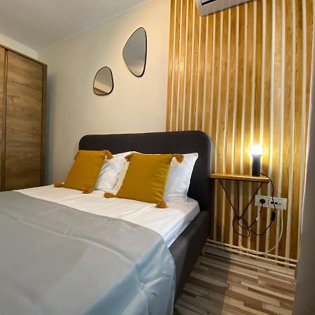 Urseni Studio Apartment تيميشورا المظهر الخارجي الصورة
