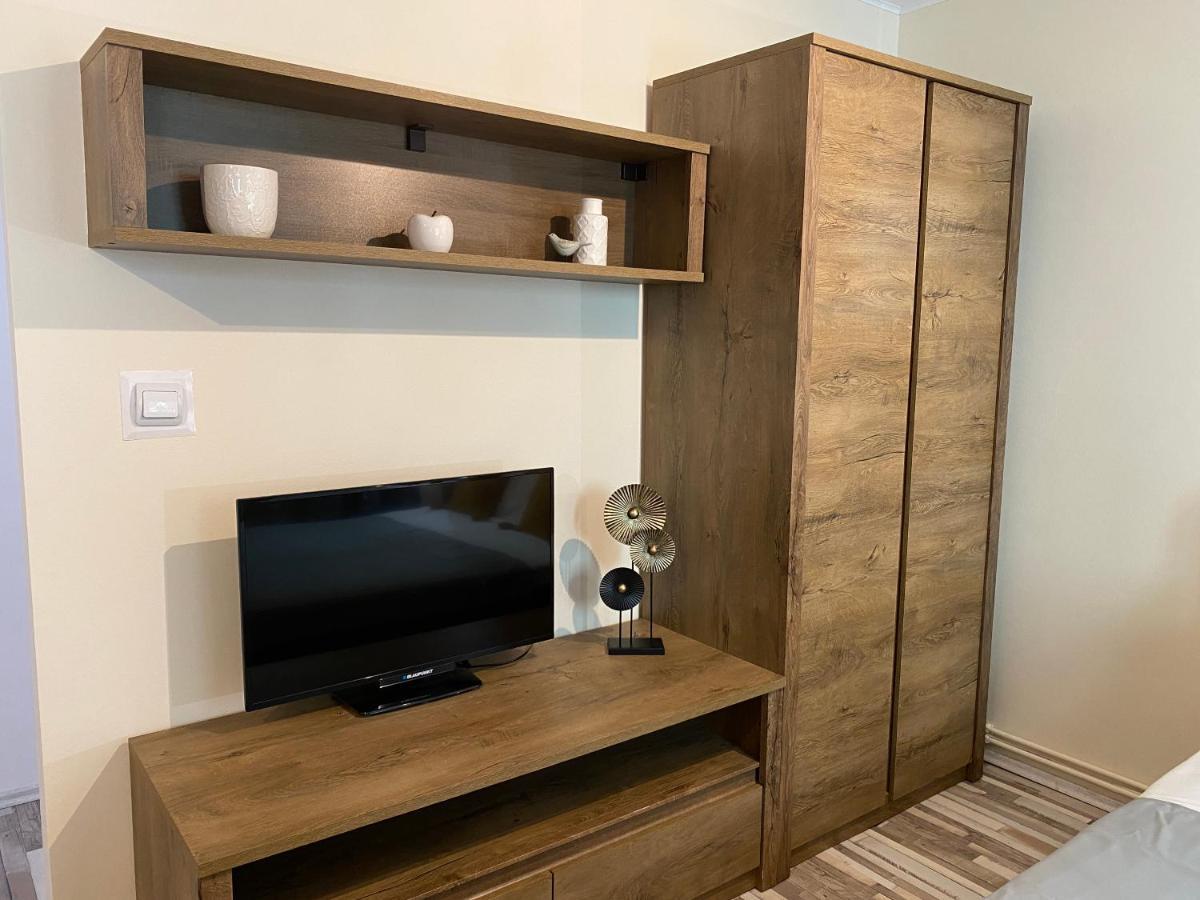 Urseni Studio Apartment تيميشورا المظهر الخارجي الصورة