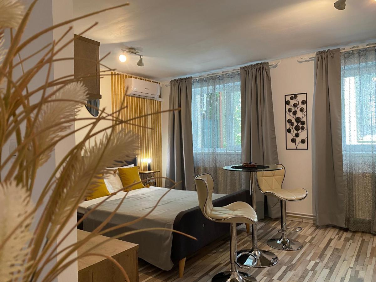 Urseni Studio Apartment تيميشورا المظهر الخارجي الصورة