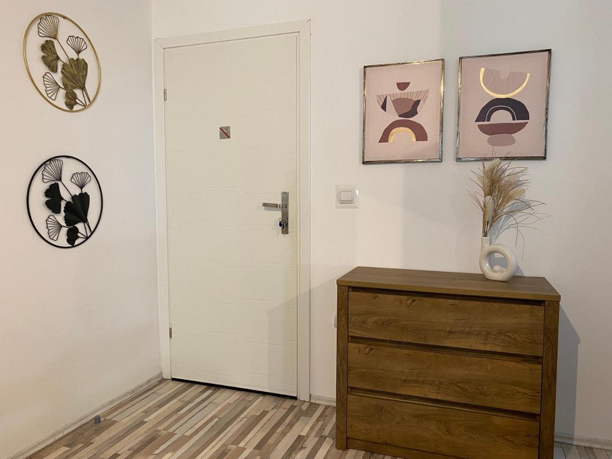 Urseni Studio Apartment تيميشورا المظهر الخارجي الصورة