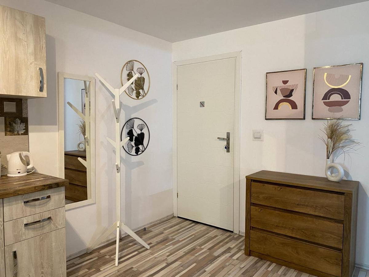 Urseni Studio Apartment تيميشورا المظهر الخارجي الصورة