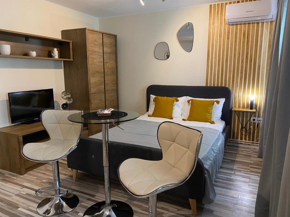 Urseni Studio Apartment تيميشورا المظهر الخارجي الصورة