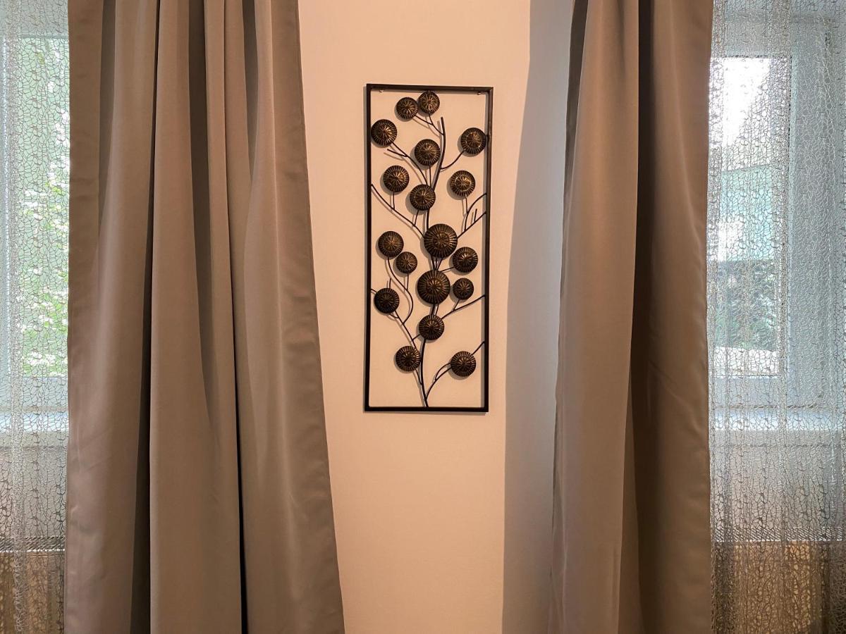 Urseni Studio Apartment تيميشورا المظهر الخارجي الصورة