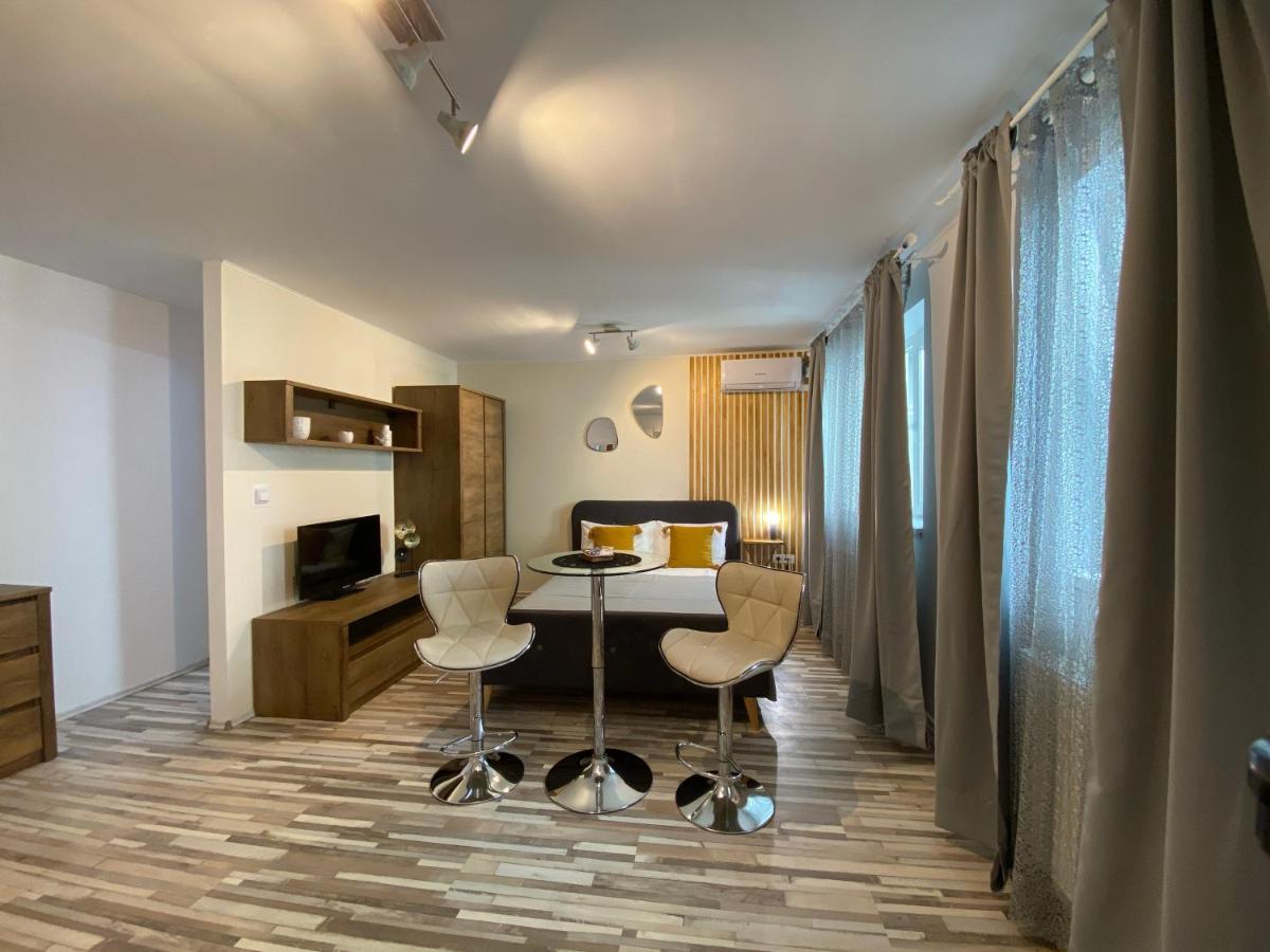 Urseni Studio Apartment تيميشورا المظهر الخارجي الصورة