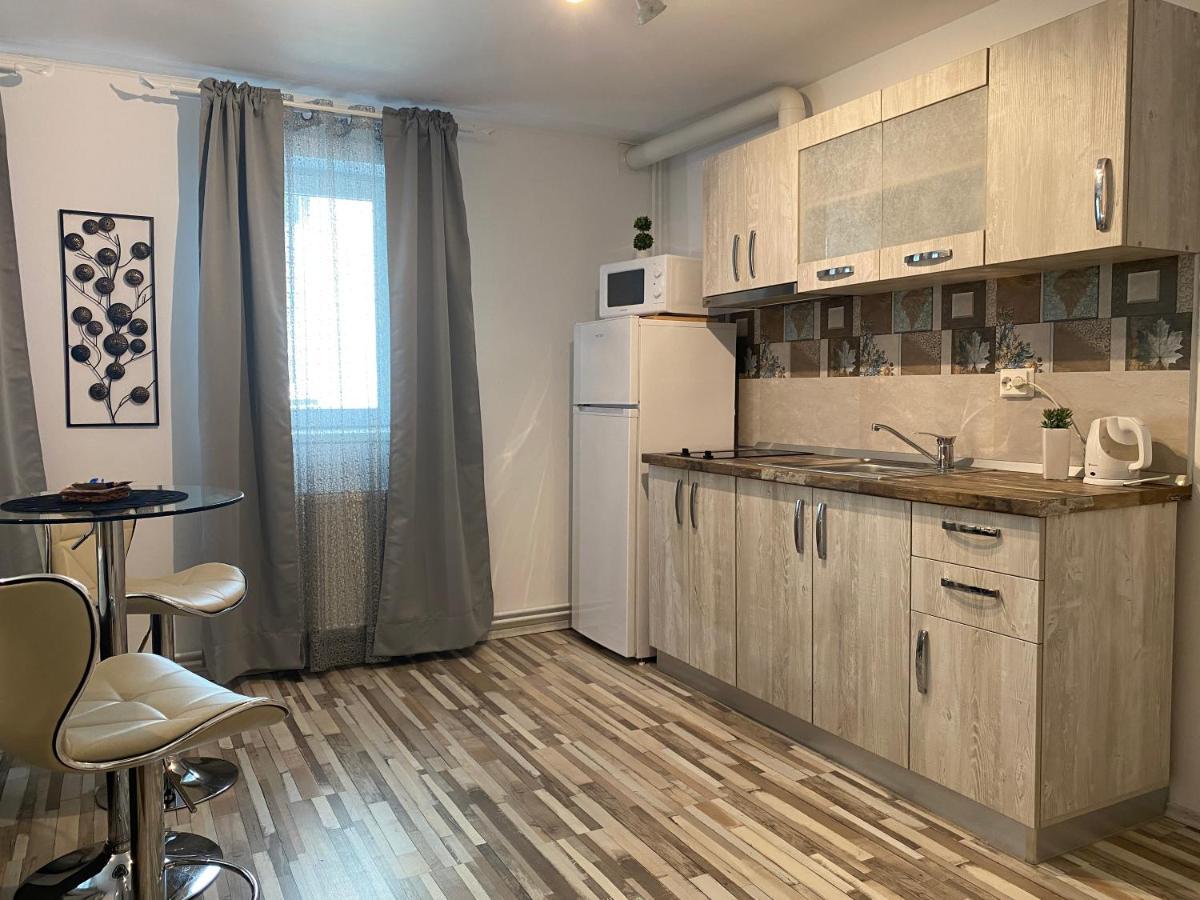 Urseni Studio Apartment تيميشورا المظهر الخارجي الصورة