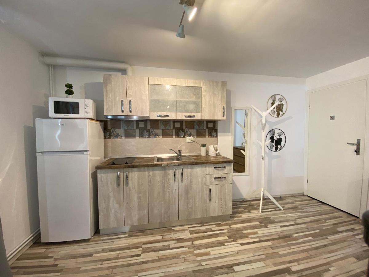 Urseni Studio Apartment تيميشورا المظهر الخارجي الصورة